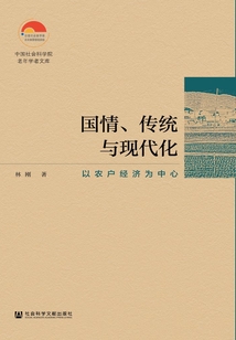 国情、传统与现代化:以农户经济为中心