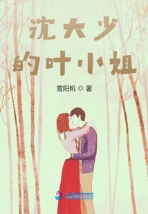 沈大少的葉小姐