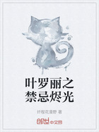 葉羅麗之禁忌燼光在線閱讀