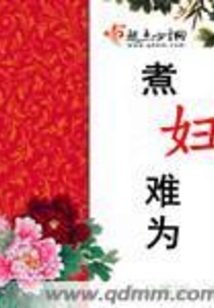 煮妇难为在线阅读