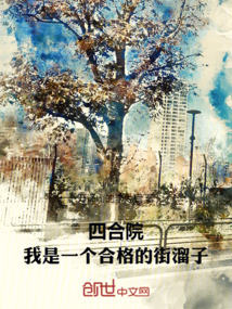 四合院，我是一個合格的街溜子