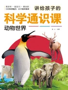 讲给孩子的科学通识课:动物世界在线阅读