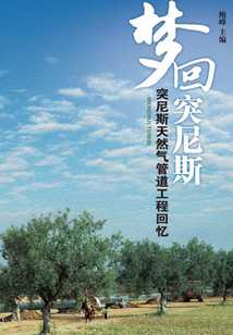 夢回突尼斯：突尼斯天然氣管道工程回憶