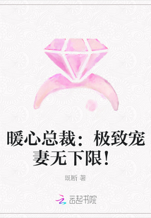 暖心總裁：極致寵妻無下限！