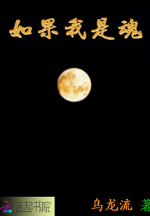 如果我是魂