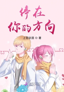 停在你的方向