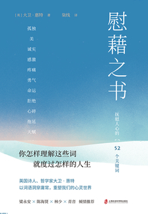 慰藉之書