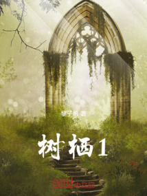 樹棲：風里希之淚