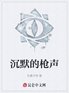 沉默的枪声在线阅读