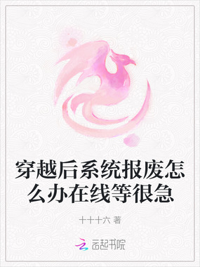 穿越后系统报废怎么办在线等很急在线阅读