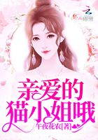 親愛的貓小姐哦在線閱讀
