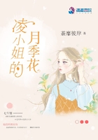 凌小姐的月季花在線閱讀