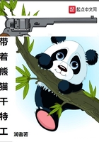带着熊猫干特工