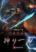 王者荣耀之神梦一刀