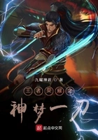 王者荣耀之神梦一刀在线阅读