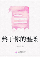 终于你的温柔在线阅读