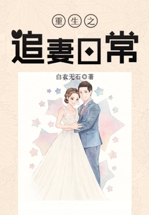 重生之追妻日常