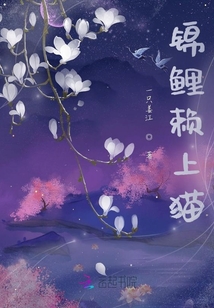 錦鯉賴上貓