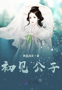 初见公子