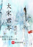 大宋君岑在線(xiàn)閱讀