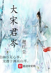 大宋君岑