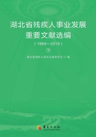 湖北省残疾人事业发展重要文献选编（1989—2019）（下册）