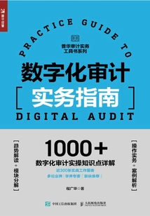數字化審計實務指南