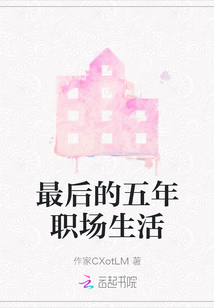 最后的五年职场生活