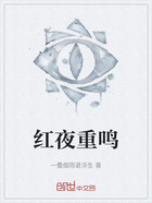红夜重鸣在线阅读