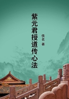 紫元君授道傳心法在線閱讀