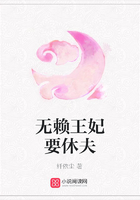無賴王妃要休夫在線閱讀