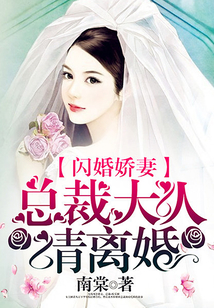 閃婚嬌妻：總裁大人請離婚