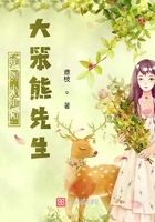 規則小姐和大笨熊先生在線閱讀