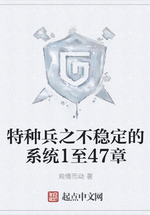 特種兵之不穩(wěn)定的系統(tǒng)1至47章
