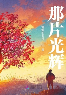 那片光輝