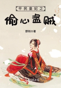 平民皇妃之偷心盜賊