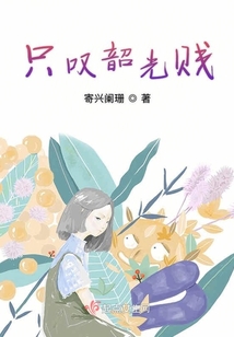 只嘆韶光賤