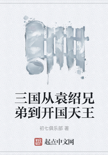 三國從袁紹兄弟到開國天王