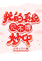 我的系統見不得炒CP在線閱讀