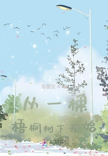 從一棵梧桐樹下開始