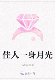 佳人一身月光
