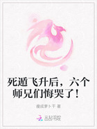 死遁飞升后,六个师兄们悔哭了!在线阅读