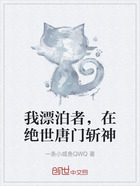 我漂泊者,在绝世唐门斩神在线阅读