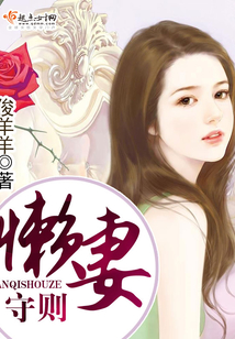 懒妻守则在线阅读