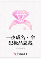 一夜成名·命犯極品總裁在線閱讀