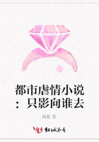 都市虐情小說：只影向誰去在線閱讀