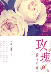 玫瑰:栽培、艺术与加工