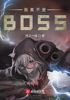 我真不是BOSS