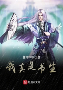 書生也要修仙