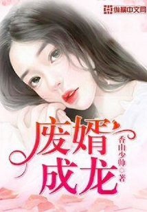 廢婿成龍
